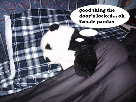 pandacomic03.jpg